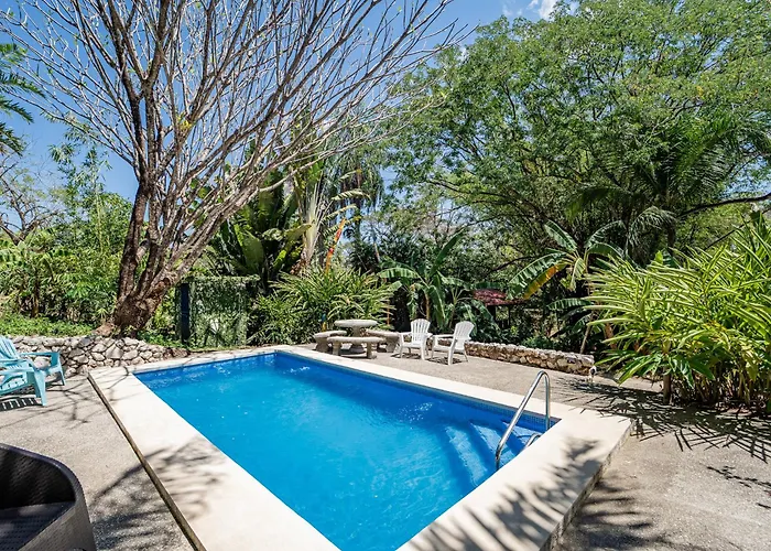 Tarantela, Treehouse Sámara