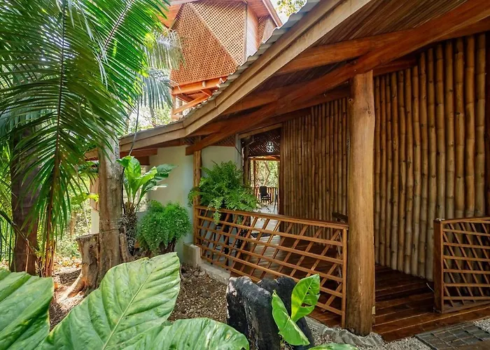Tarantela, Treehouse Apartamento *
