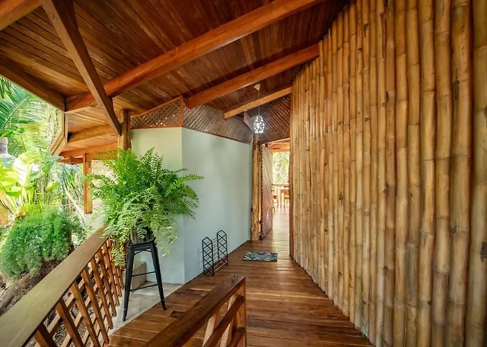 Tarantela, Treehouse Sámara