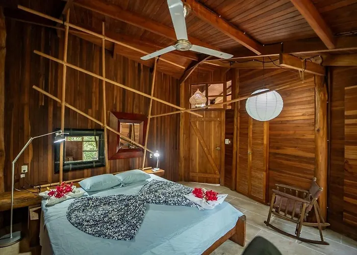 Tarantela, Treehouse * Sámara