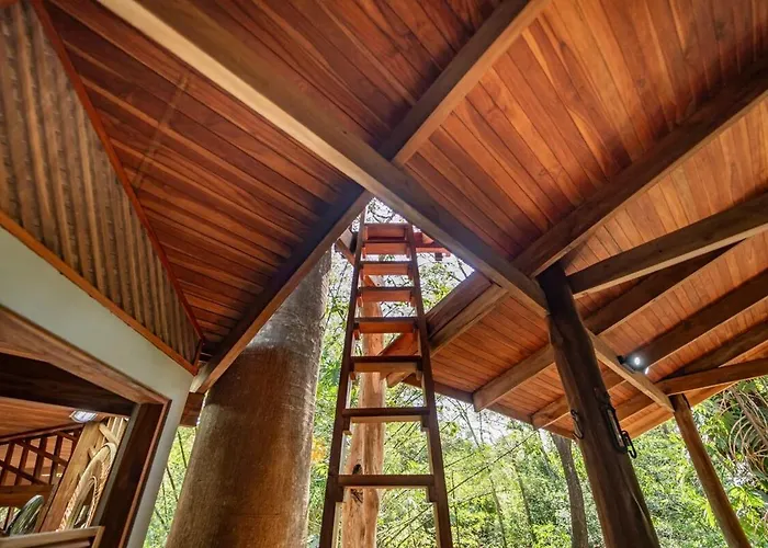 Apartamento Tarantela, Treehouse