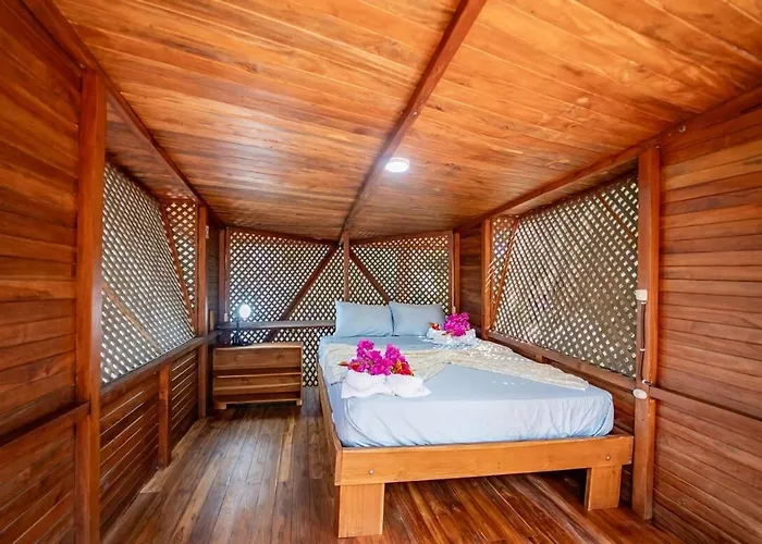 Tarantela, Treehouse Apartamento Sámara