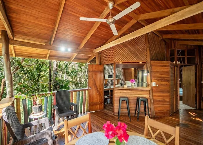 Tarantela, Treehouse *