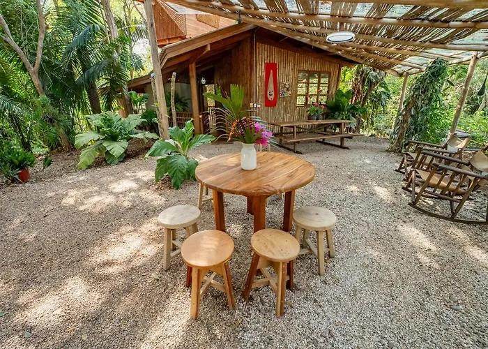 Tarantela, Treehouse Sámara