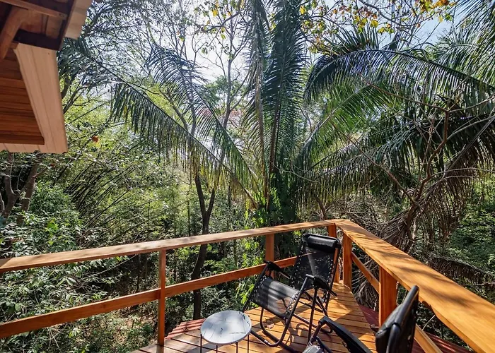 Tarantela, Treehouse
