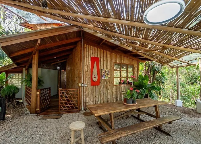 Tarantela, Treehouse *
