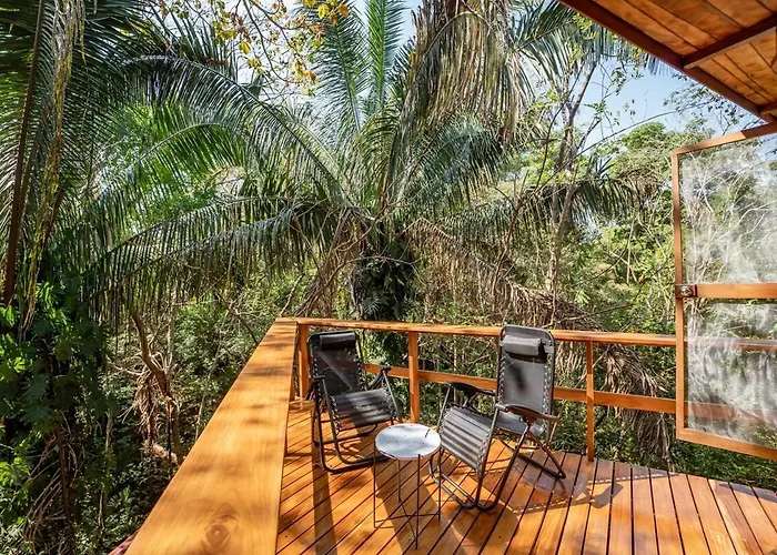 Tarantela, Treehouse Apartamento *